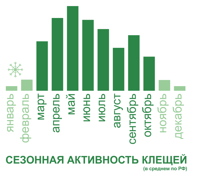 Акарицидная обработка от клещей территории и участков в Великом Новгороде. Цены